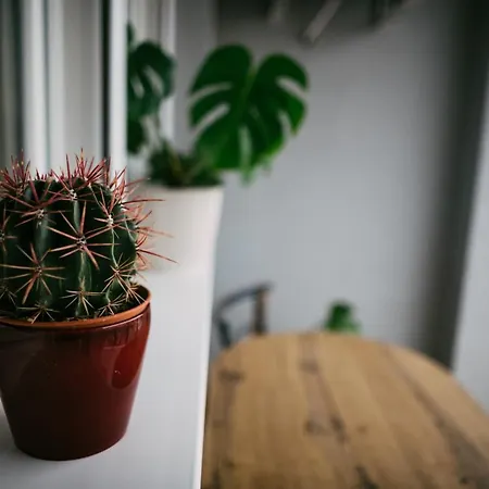 Klicakn Appartement Subotica