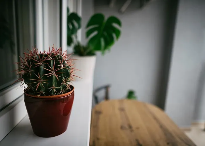 Klicakn Apartament Subotica